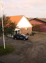 Lyne Grading Station, seed Lyne Grading Station, seed